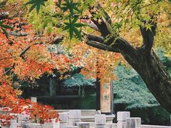 -常熟方塔园