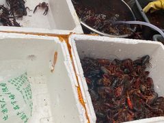 -小田油焖小龙虾(双井店)