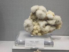 -湖南省地质博物馆