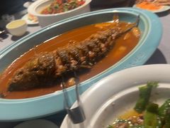 -阿五黄河大鲤鱼(纬三路店)