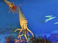 -国家自然博物馆