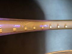 -Hi City·城市之巅