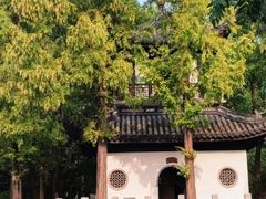 -汇龙潭