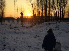 -东郊湿地公园
