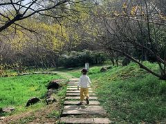 -南京市江宁方山