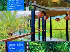 -世界恐龙谷景区