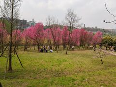 -贵阳市花溪国家城市湿地公园