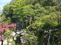 -山王坪喀斯特国家生态公园