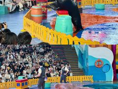 -海合安武汉极地海洋公园