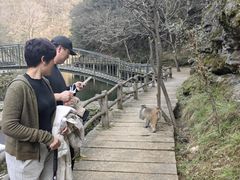 -武当山风景区