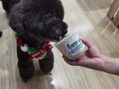 -帕帕拉兹宠物(亚洲旗舰店)