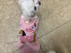 -思琪宠物医院(昆山花桥店)