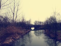 景点-溱湖国家湿地公园