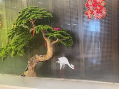 -红菜坊·烤鸭·川鲁宴(石园店)