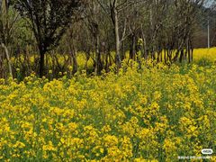 -南京金牛湖风景区