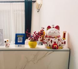 -莲芸拔罐减肥
