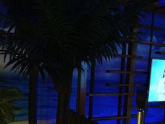 -骑士KTV(红谷滩万达店)
