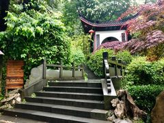 -十八棵（老龙井）御茶园(老龙井店)