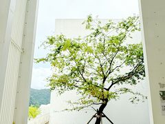 -中国宣纸文化园