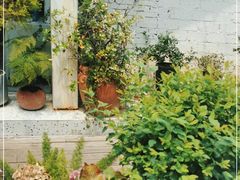 -春树下·树屋花房西餐厅(罍街AS1980店)