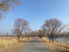 -野鸭湖国家湿地公园