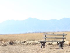-野鸭湖国家湿地公园