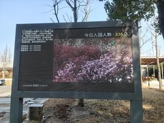 -嘉北郊野公园