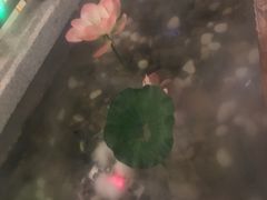 -东道煮牛肉火锅(东盛大街店)