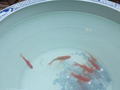 -一颗印(懋庐店)