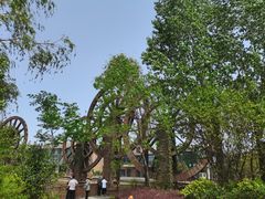 -嵖岈山风景区
