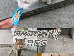 -宝通禅寺