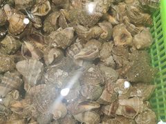 -和源祥·日照菜扛把子(万平口一店)