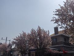 -天津五大道文化旅游区