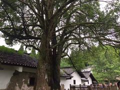 -井冈山风景名胜区