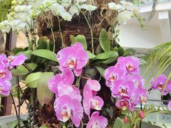 -北京植物园-展览温室