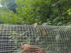 -合肥野生动物园