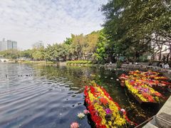 -荔湾湖公园
