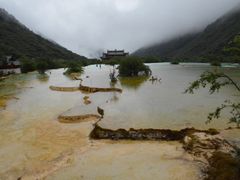 -黄龙山原始森林景区