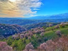 -中华福寿山