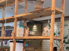 -一轩饺子馆(丽都店)