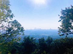 -火炉山森林公园