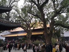 -普陀山慧济禅寺