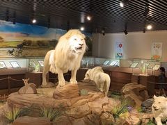 -陕西自然博物馆