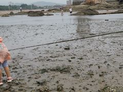 -兴城海滨风景区