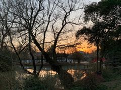 -扬州大运河文化旅游度假区·盆景园