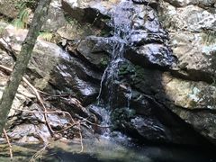 -祁门牯牛降观音堂风景区