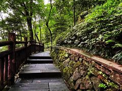 -重庆平顶山公园