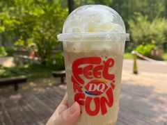 -黄海国家森林公园