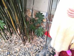 -咸宁万豪温泉谷度假区