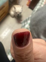-四季·予你日式美甲美睫Nail